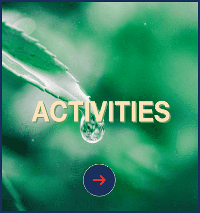 ACTIVITIES