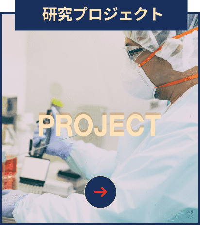研究プロジェクト